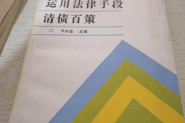 桐乡遇到恶意拖欠？专业追讨公司帮您解决烦恼